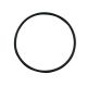 O-Ring 031060 zu Mörtl