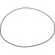 O-Ring 247,32x2,65 anstelle von Deutz Fahr 16602632