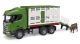 SCANIA Super 560R Tiertransport LKW mit 1 Rind 03548