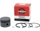 Kolben Briggs und Stratton 298906, 393821