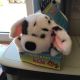 Hundebaby Darling NEU