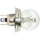 Kugellampe Bilux, 12 V, 45/40 W, P45t, 10 Stück