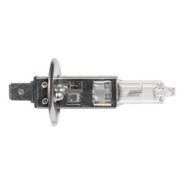 Halogenlampe H1, 12 V, 55 W, P14,5s, 10 Stück